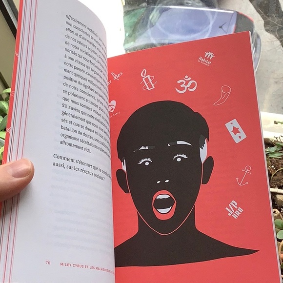 3/20$ ⭐️ Essai en français livre québécois - Picture 7 of 8